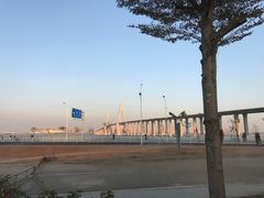 -中澳友谊花园
