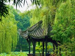 -桂湖森林公园