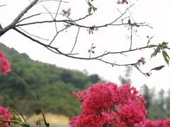 -小南山公园