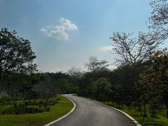-中国科学院西双版纳热带植物园