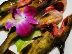 黄辣丁-红鼎坊·老成都火锅(新南门店)