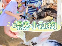 -唆了蜜团建·趣味沉浸式剧情·蹦床轰趴运动拓展基地(天津旗舰店)