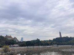 -顺峰山公园