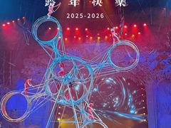 -广州长隆国际大马戏