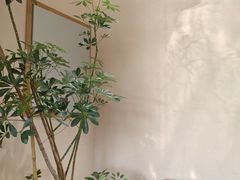 -荷栖小院·品质江西菜(红谷滩店)