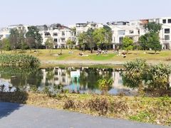 -两河城市森林公园