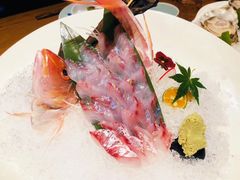鲷鱼刺身-贰捌零叁精致料理(钱湖店)
