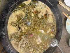 -鲜椒鱼·雅安地标性美食