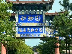 -西霞口神雕山野生动物世界