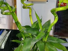 -杭州逸设计师酒店(武林广场店)