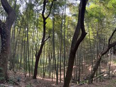 -采石矶景区