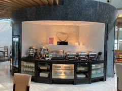 -虹桥机场国航贵宾室v8