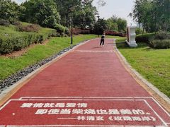 -九龙湖公园