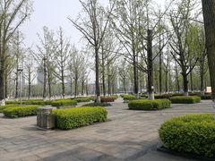 -百林公园-两江幸福广场