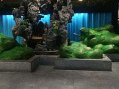 -东椰·海南椰子鸡火锅(朝阳门店)