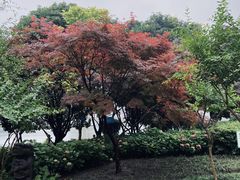 -宝岛公园