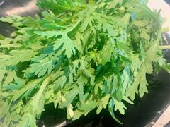 -蝎菜杨·牛肉面 羊蝎子火锅(光熙门北里店)