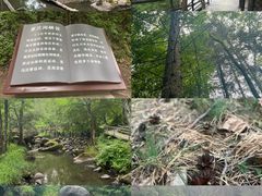 -茅兰沟国家森林公园