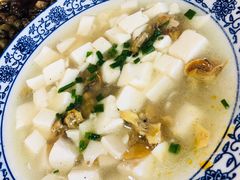 蚌肉豆腐-洞天食府(北大街店)