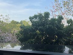 -凤厨顺德水乡凤味馆(大良锦龙路店)