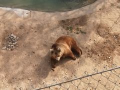 -石家庄市动物园