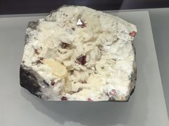 -重庆自然博物馆(新馆)