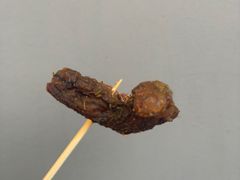 -都士牧人现烤牛肉干