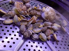 -福泉海码头(六里山店)