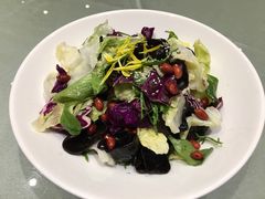 一轩大拌菜-一轩饺子馆(丽都店)