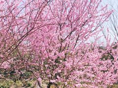 -江南大学(蠡湖校区)