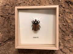 -zoonana室内动物园(东方福来德店)