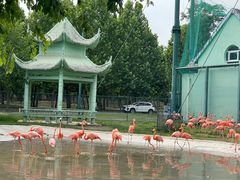 -秦皇岛野生动物园