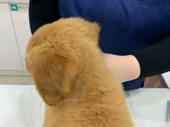 -佳雯宠物医院(金华南路分院)