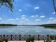 -丁香湖公园