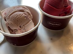 -哈根达斯(龙湖时代天街店)