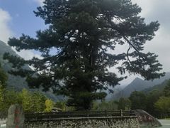 -秦岭终南山世界地质公园翠华山景区