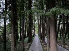 -采石矶景区