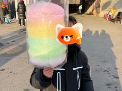 -丁香湖公园