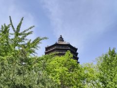 -玲珑塔公园