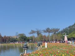 -顺峰山公园