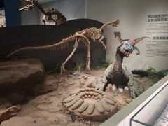 -自贡恐龙博物馆