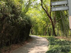 -采石矶景区