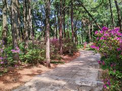 -昆明市金殿名胜区