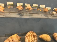 -浙江自然博物院(杭州馆)