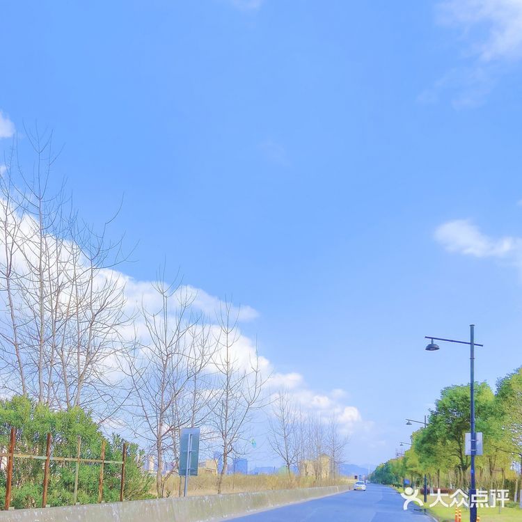 杭州“小镰仓”日系小众拍照地🚢感受2元坐船的快乐