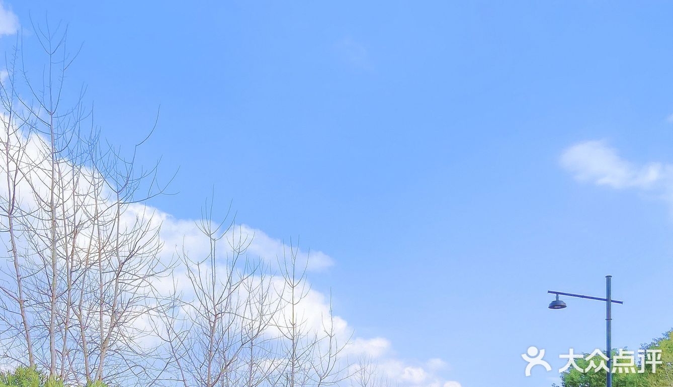 杭州“小镰仓”日系小众拍照地🚢感受2元坐船的快乐