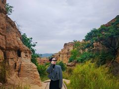 -元谋土林景区(物茂土林)