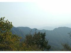 -大岭沟猕猴桃谷风景区