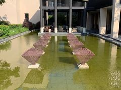 -上海崇明金茂凯悦酒店