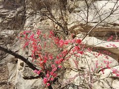 -黑龙潭风景区